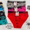 LADIES COZY UNDERPANTS (3 PCS)