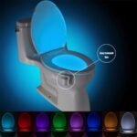 motion sensor toilet