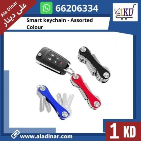 SMART KEYCHAIN (ASSORTED COLOUR)