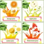 hand press juicer