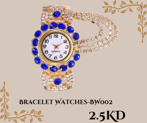 Bracelet Watches-BW001 (1)