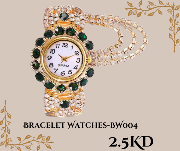 Bracelet Watches-BW001 (3)